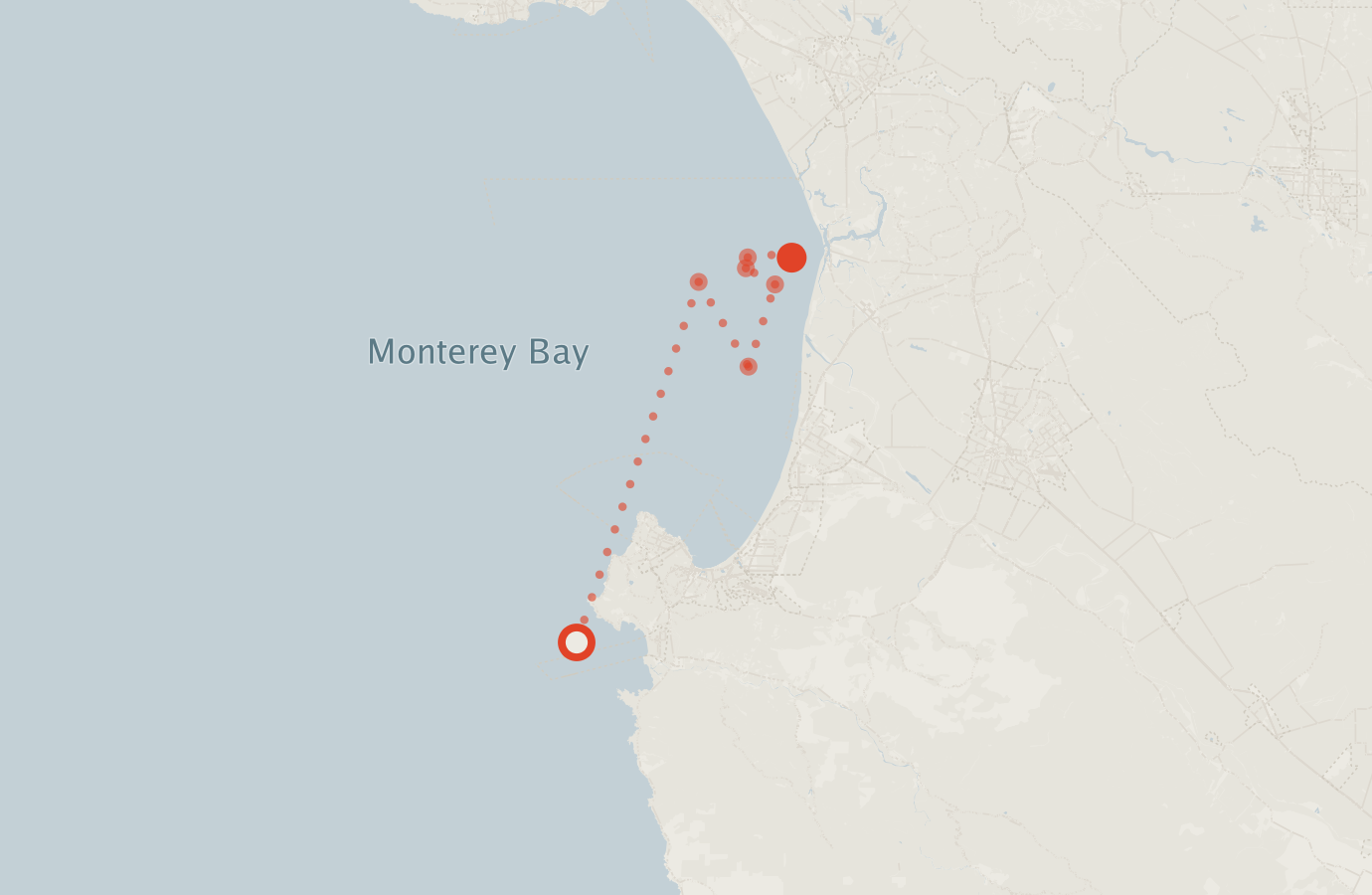 Activity map — real sighting points on an OpenStreetMap basemap