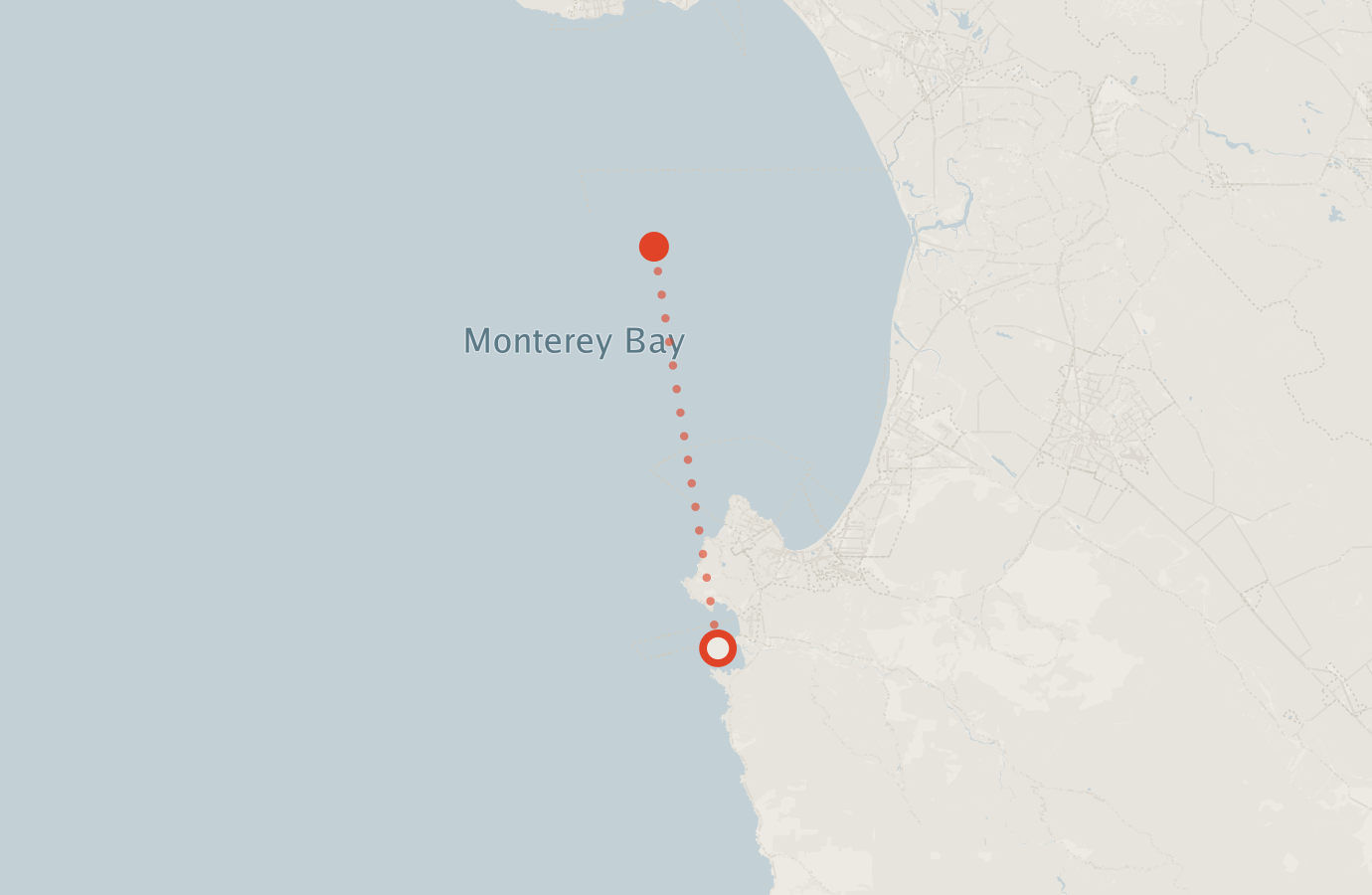 Activity map — real sighting points on an OpenStreetMap basemap