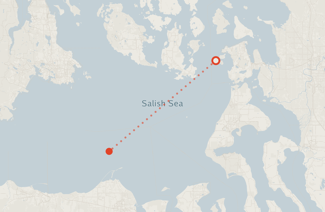 Activity map — real sighting points on an OpenStreetMap basemap