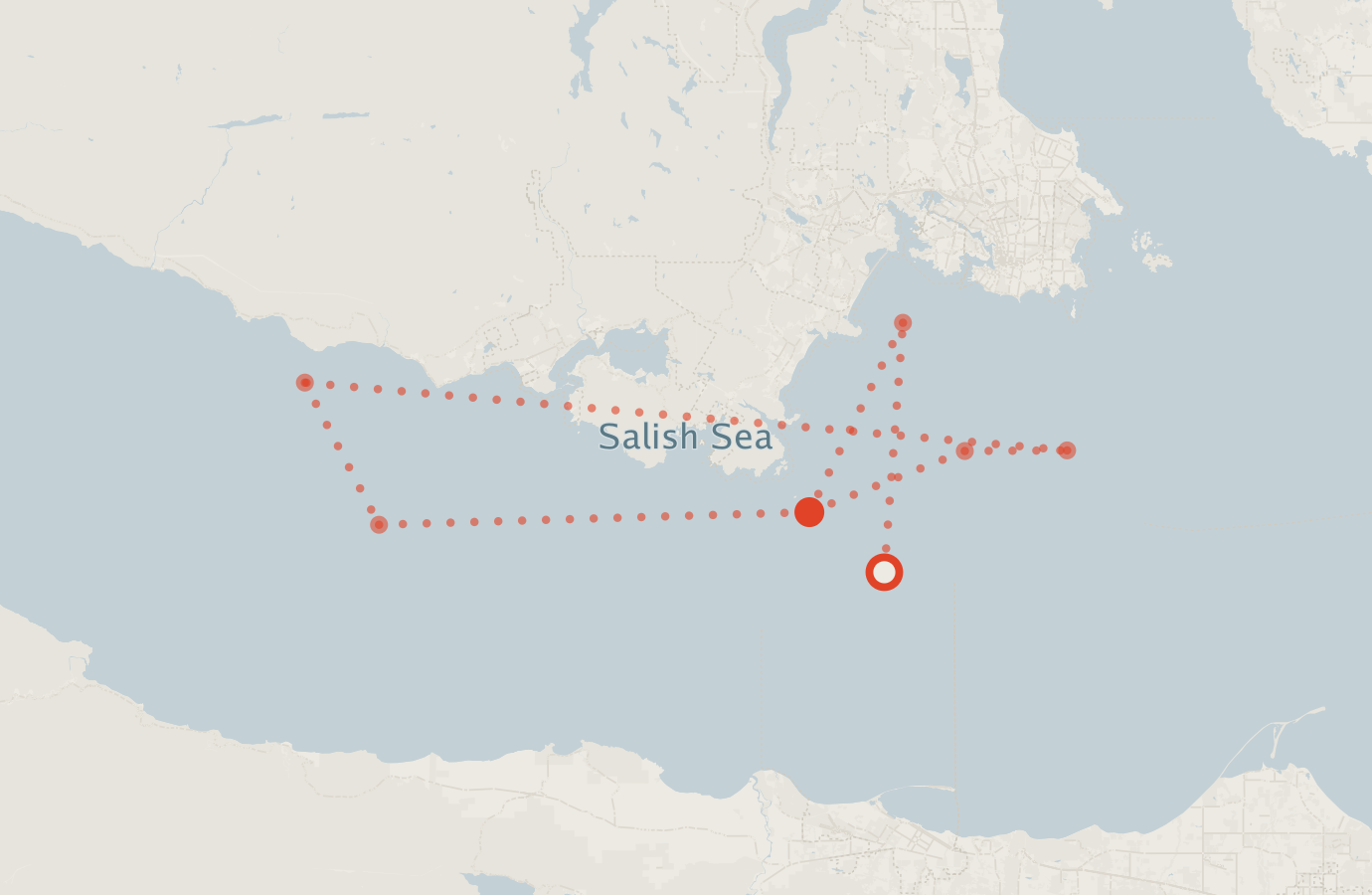 Activity map — real sighting points on an OpenStreetMap basemap