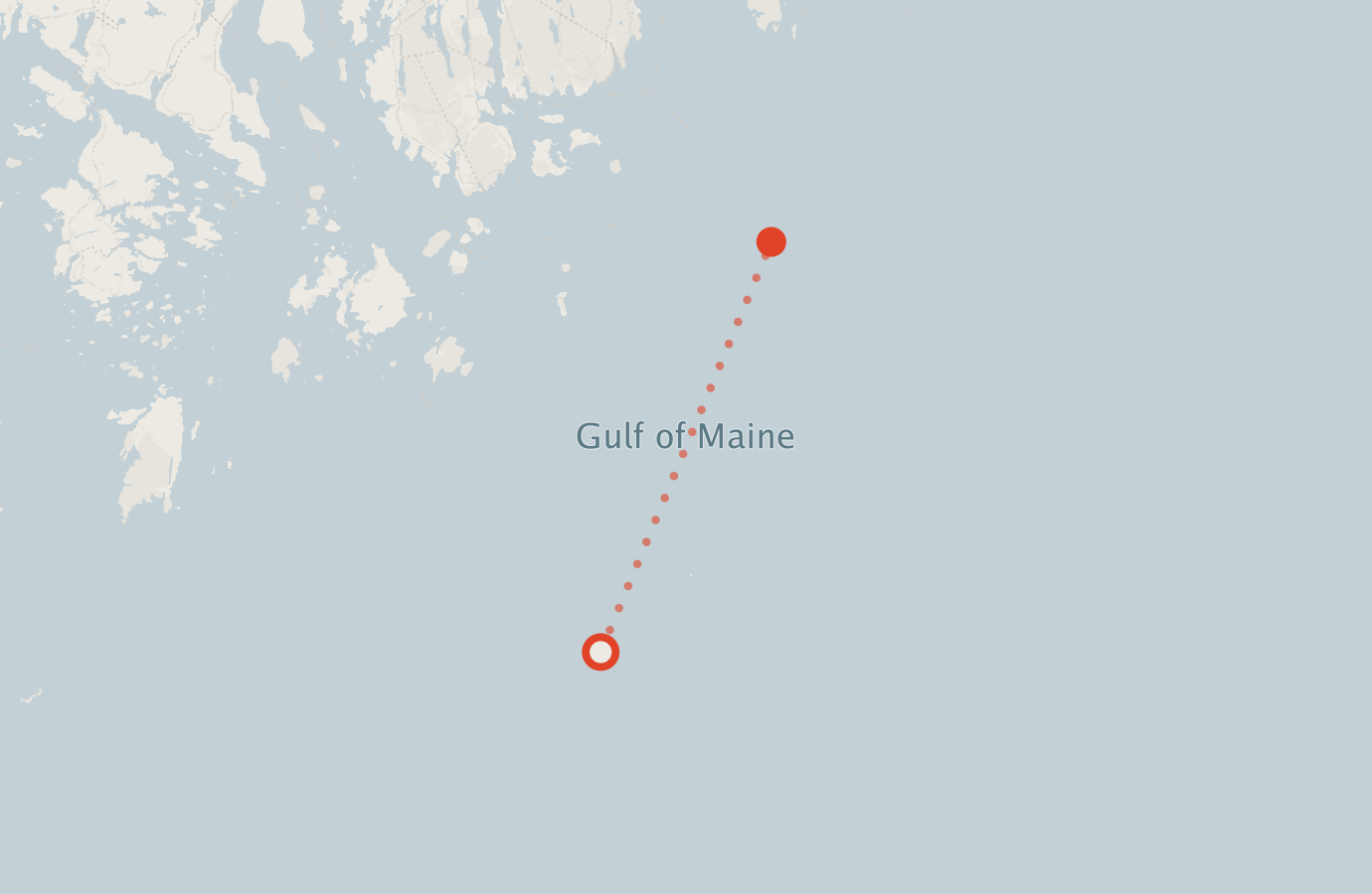 Activity map — real sighting points on an OpenStreetMap basemap
