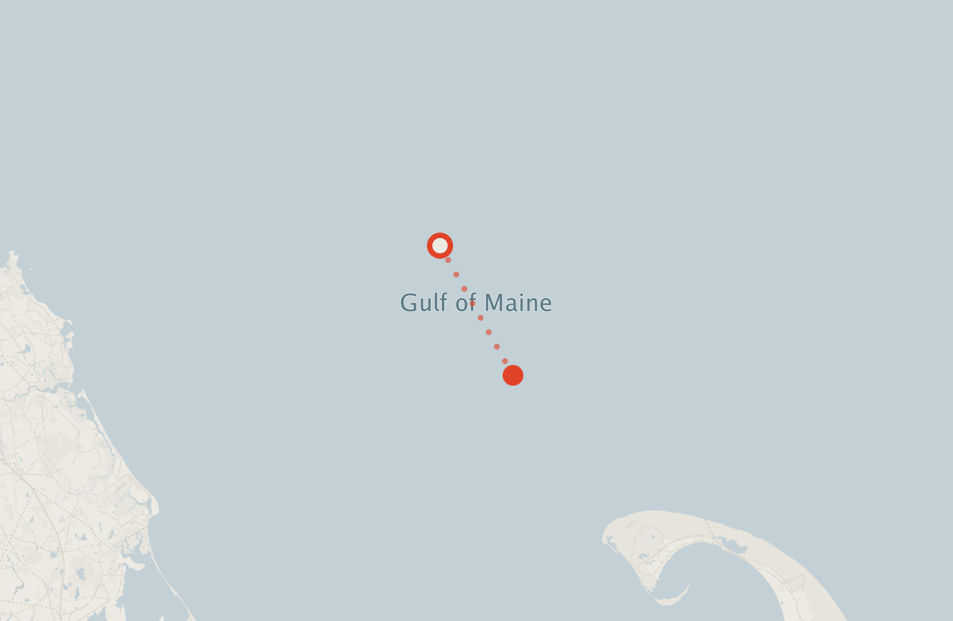 Activity map — real sighting points on an OpenStreetMap basemap