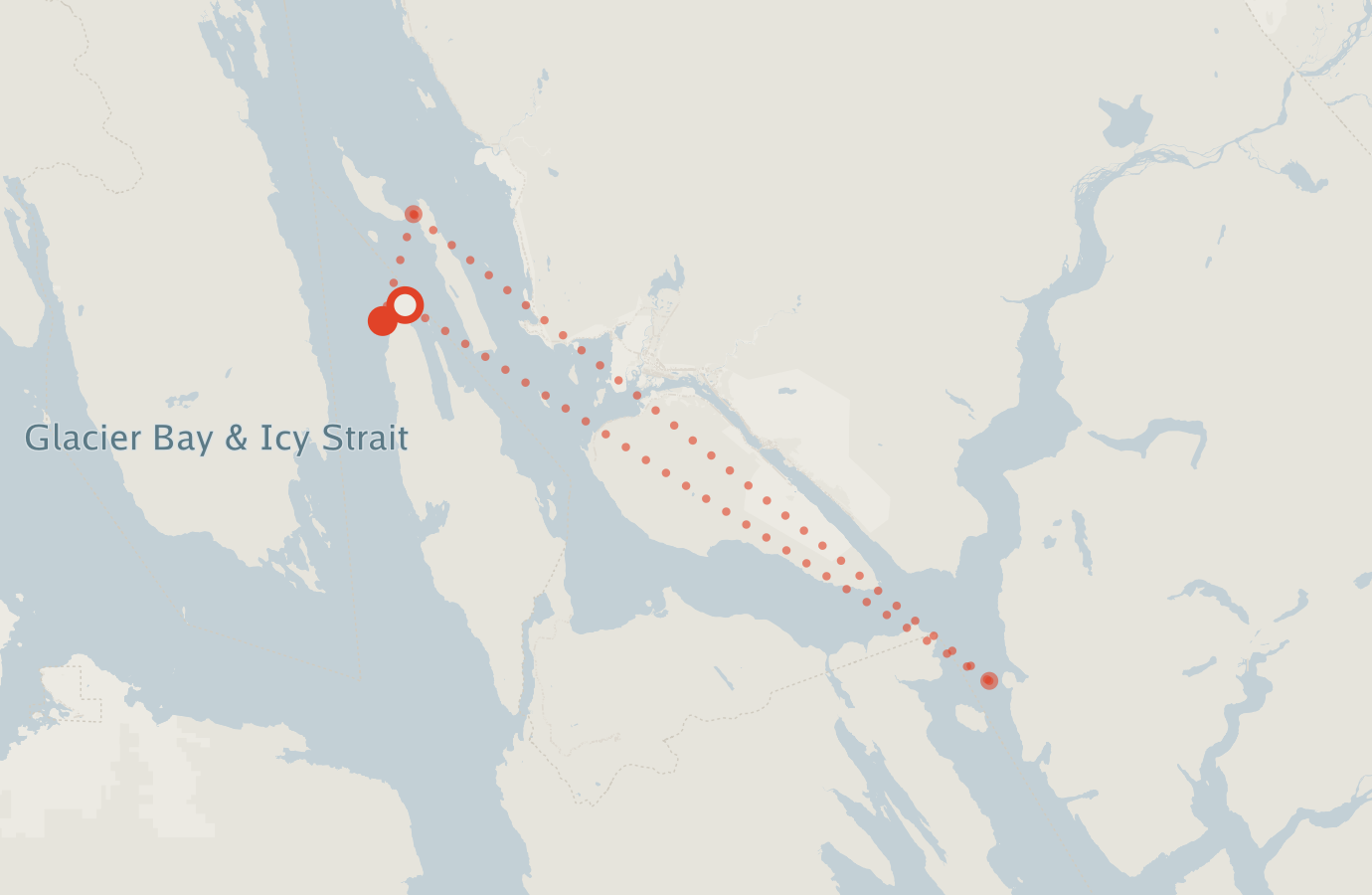 Activity map — real sighting points on an OpenStreetMap basemap
