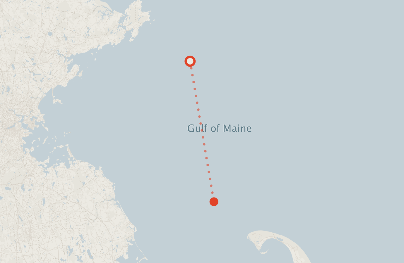 Activity map — real sighting points on an OpenStreetMap basemap