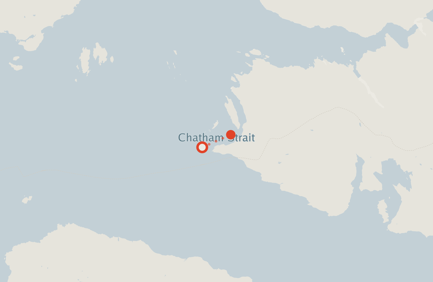 Activity map — real sighting points on an OpenStreetMap basemap
