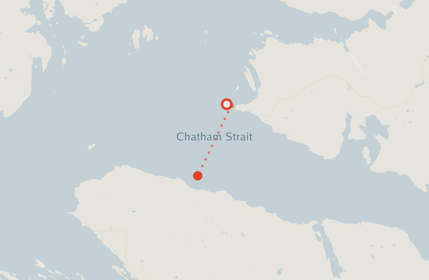 Activity map — real sighting points on an OpenStreetMap basemap
