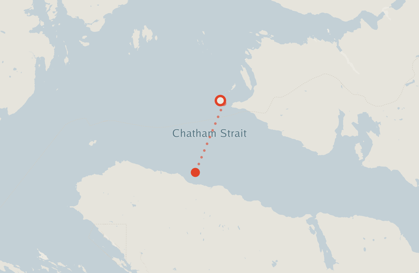 Activity map — real sighting points on an OpenStreetMap basemap