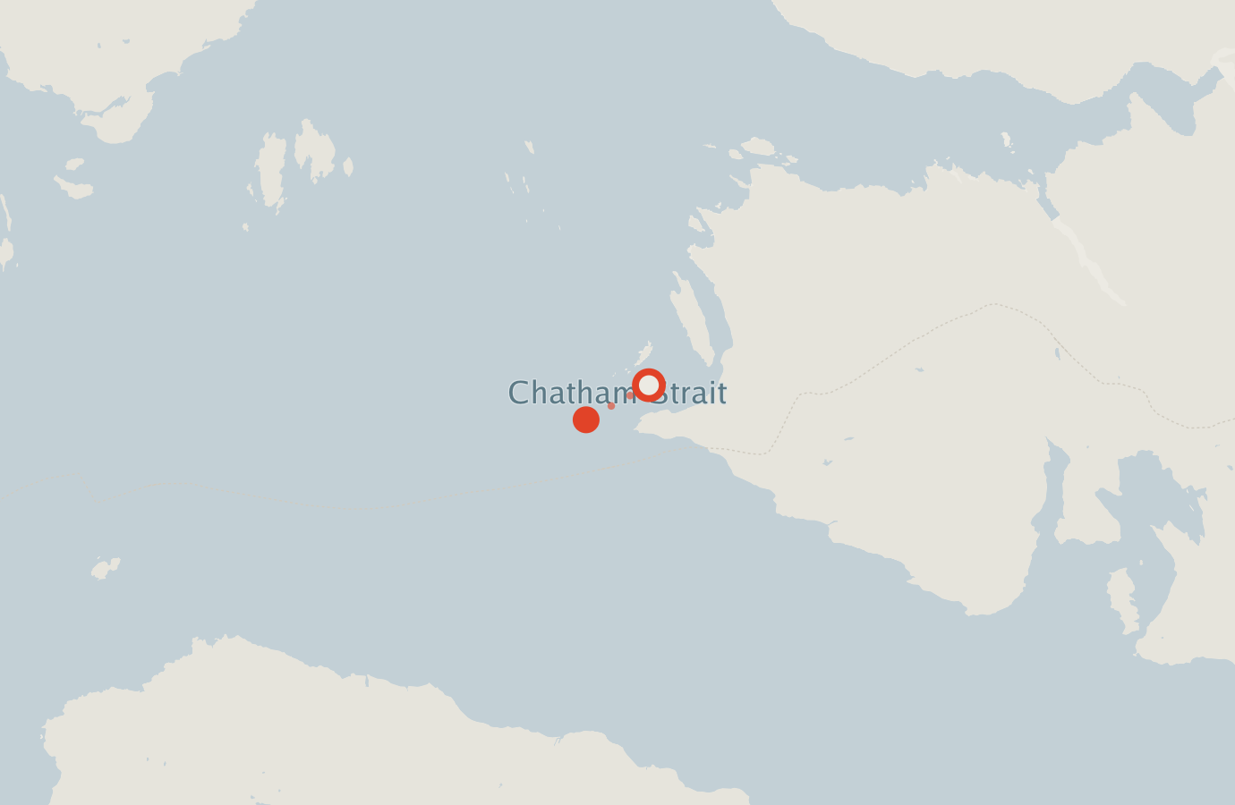 Activity map — real sighting points on an OpenStreetMap basemap