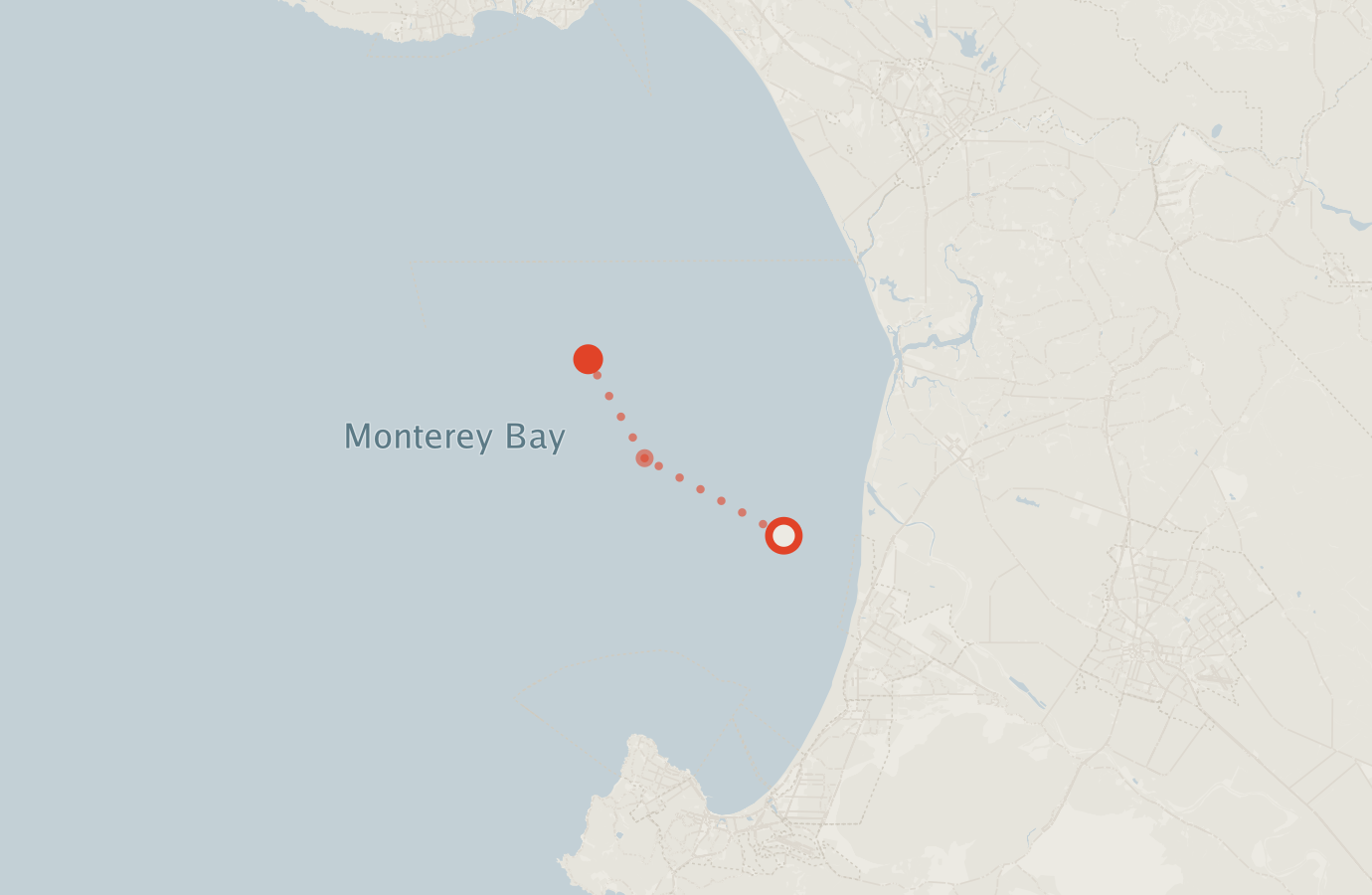 Activity map — real sighting points on an OpenStreetMap basemap
