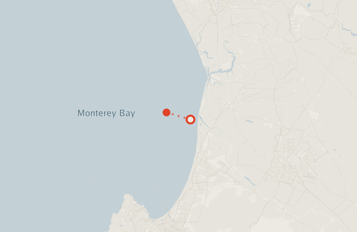 Activity map — real sighting points on an OpenStreetMap basemap