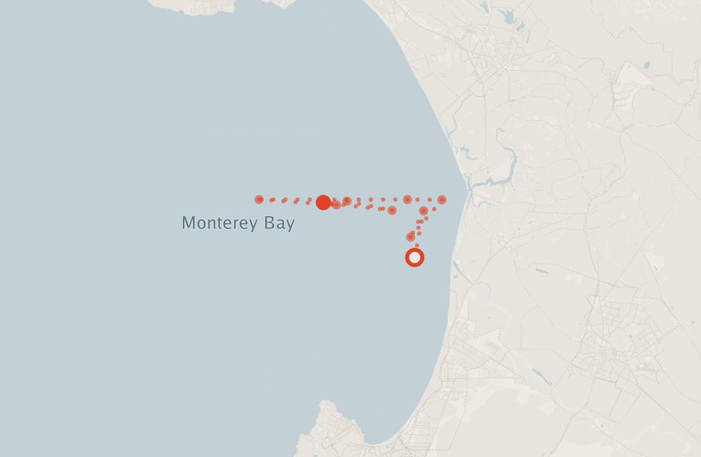 Activity map — real sighting points on an OpenStreetMap basemap