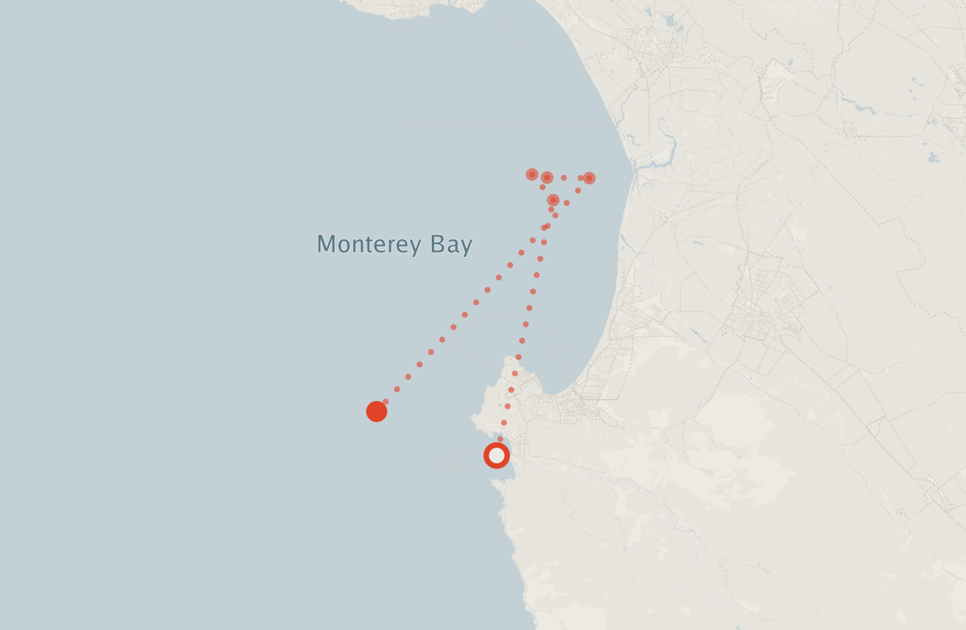 Activity map — real sighting points on an OpenStreetMap basemap