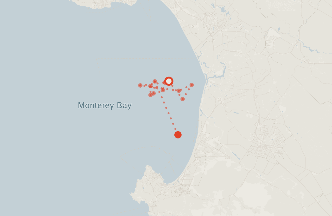 Activity map — real sighting points on an OpenStreetMap basemap