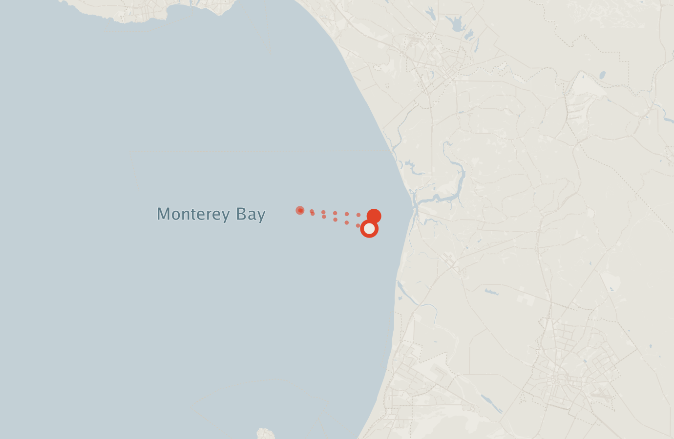Activity map — real sighting points on an OpenStreetMap basemap