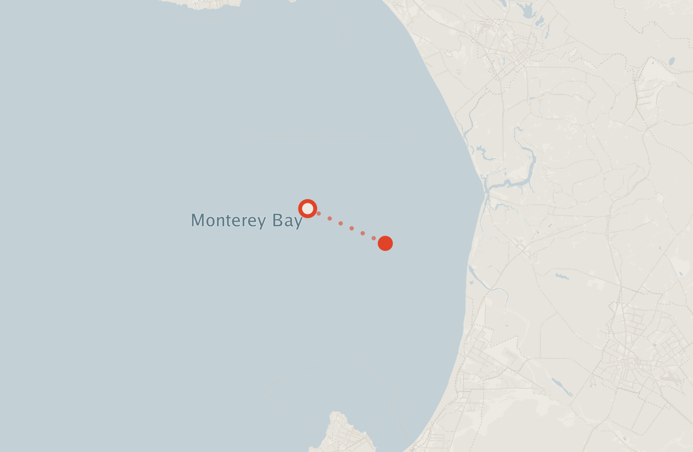 Activity map — real sighting points on an OpenStreetMap basemap