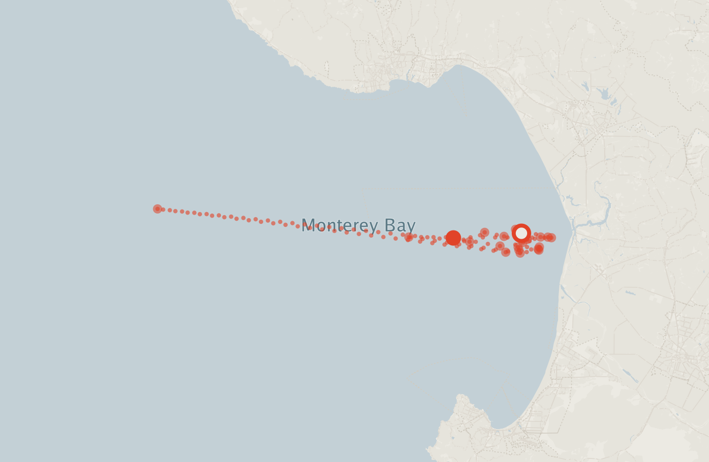 Activity map — real sighting points on an OpenStreetMap basemap
