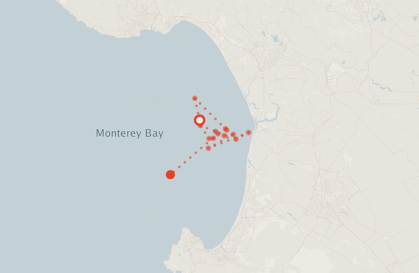 Activity map — real sighting points on an OpenStreetMap basemap