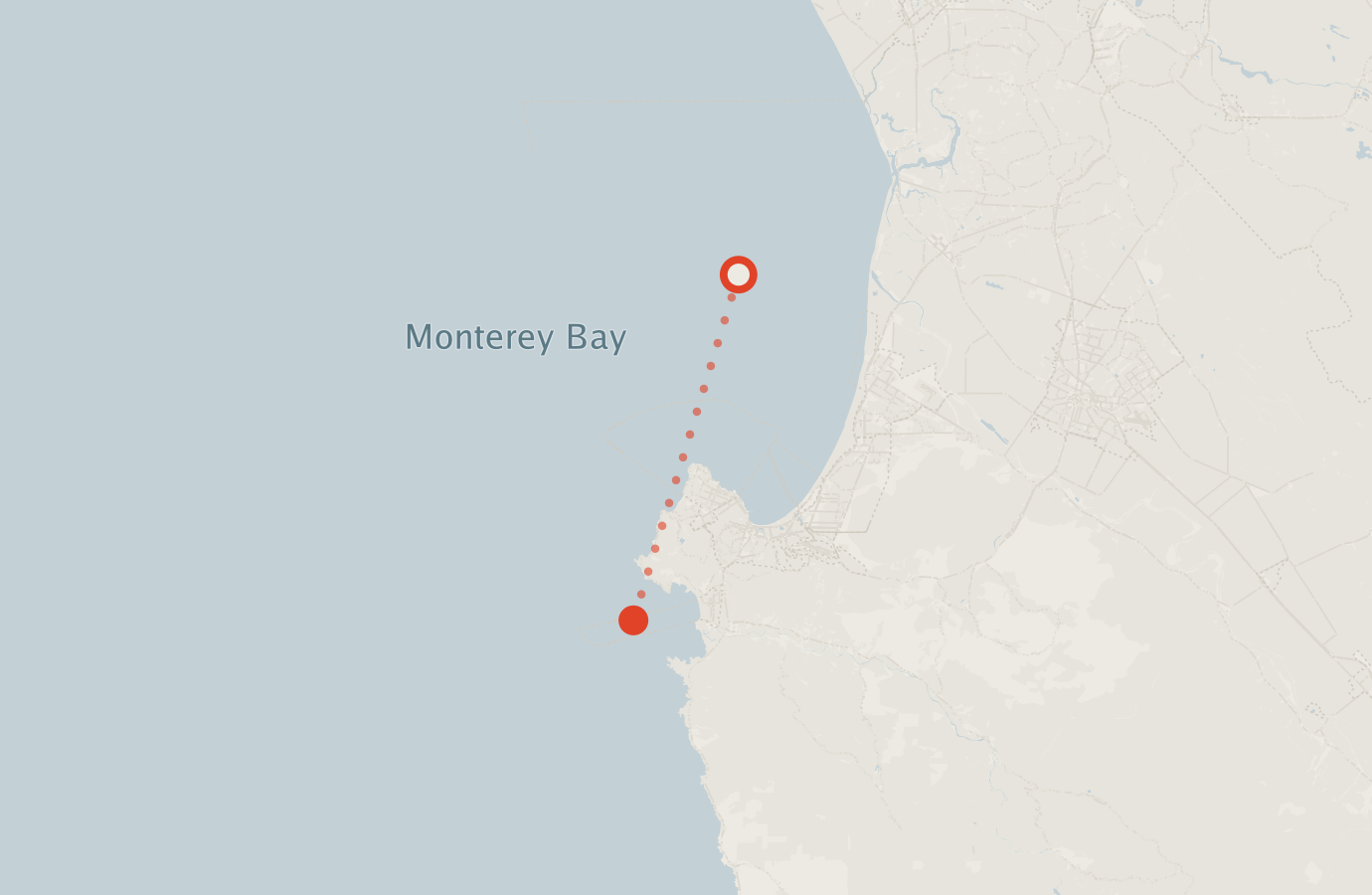 Activity map — real sighting points on an OpenStreetMap basemap