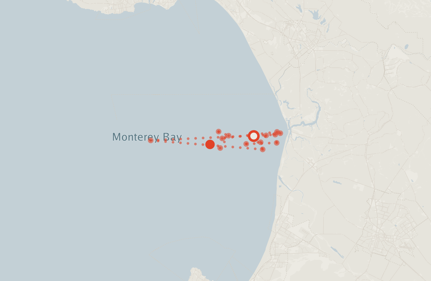 Activity map — real sighting points on an OpenStreetMap basemap
