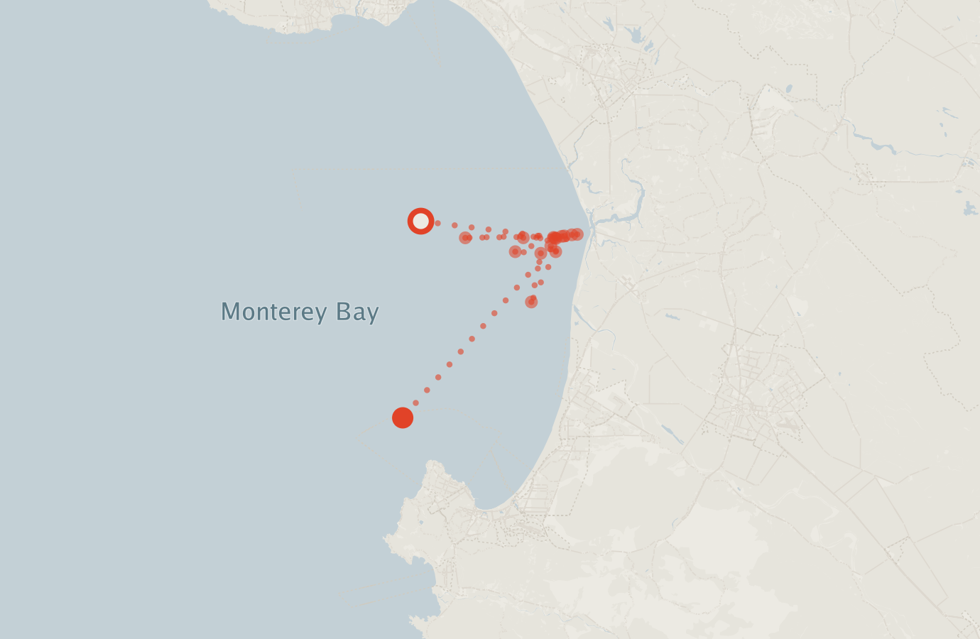 Activity map — real sighting points on an OpenStreetMap basemap