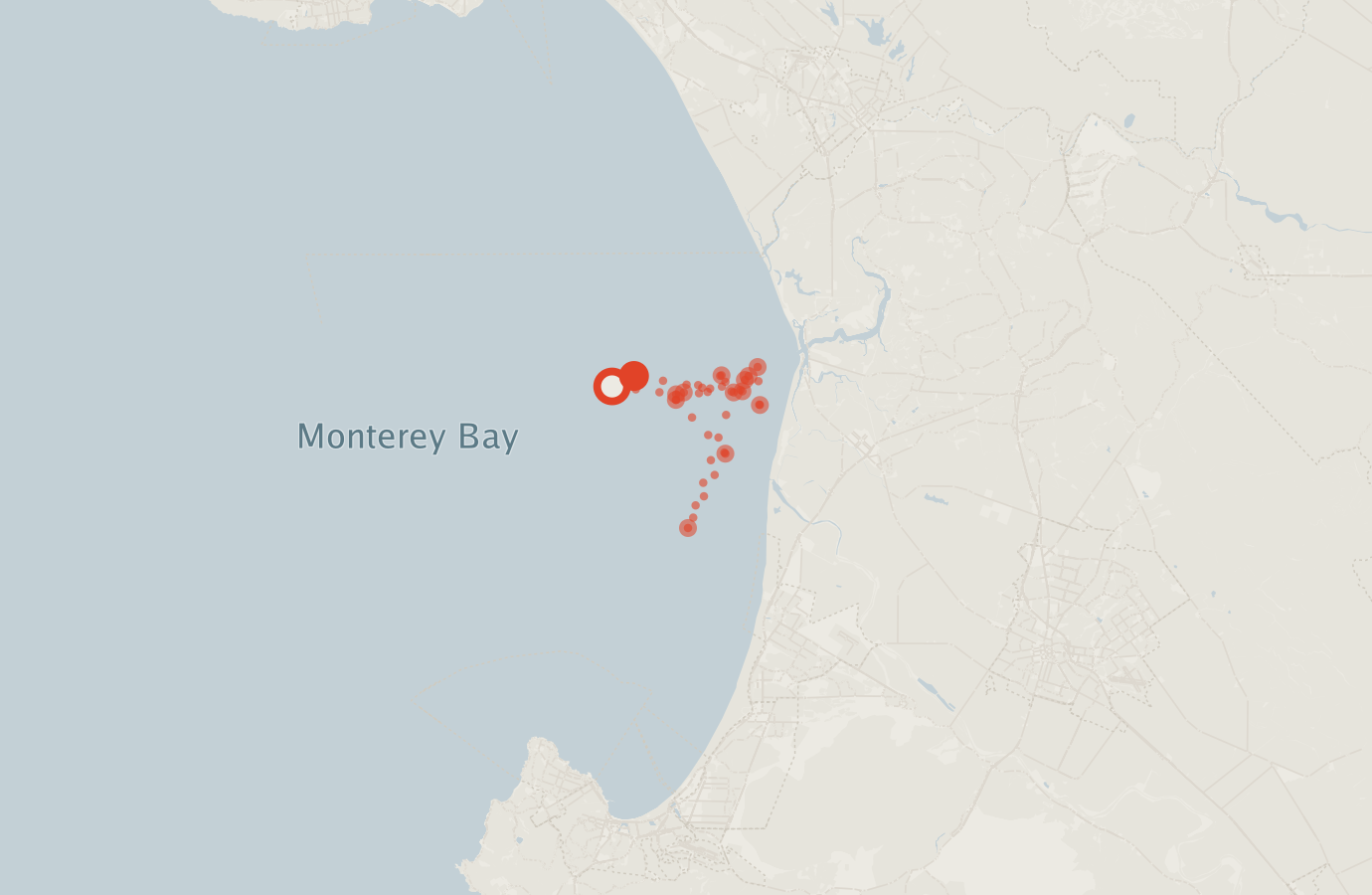 Activity map — real sighting points on an OpenStreetMap basemap