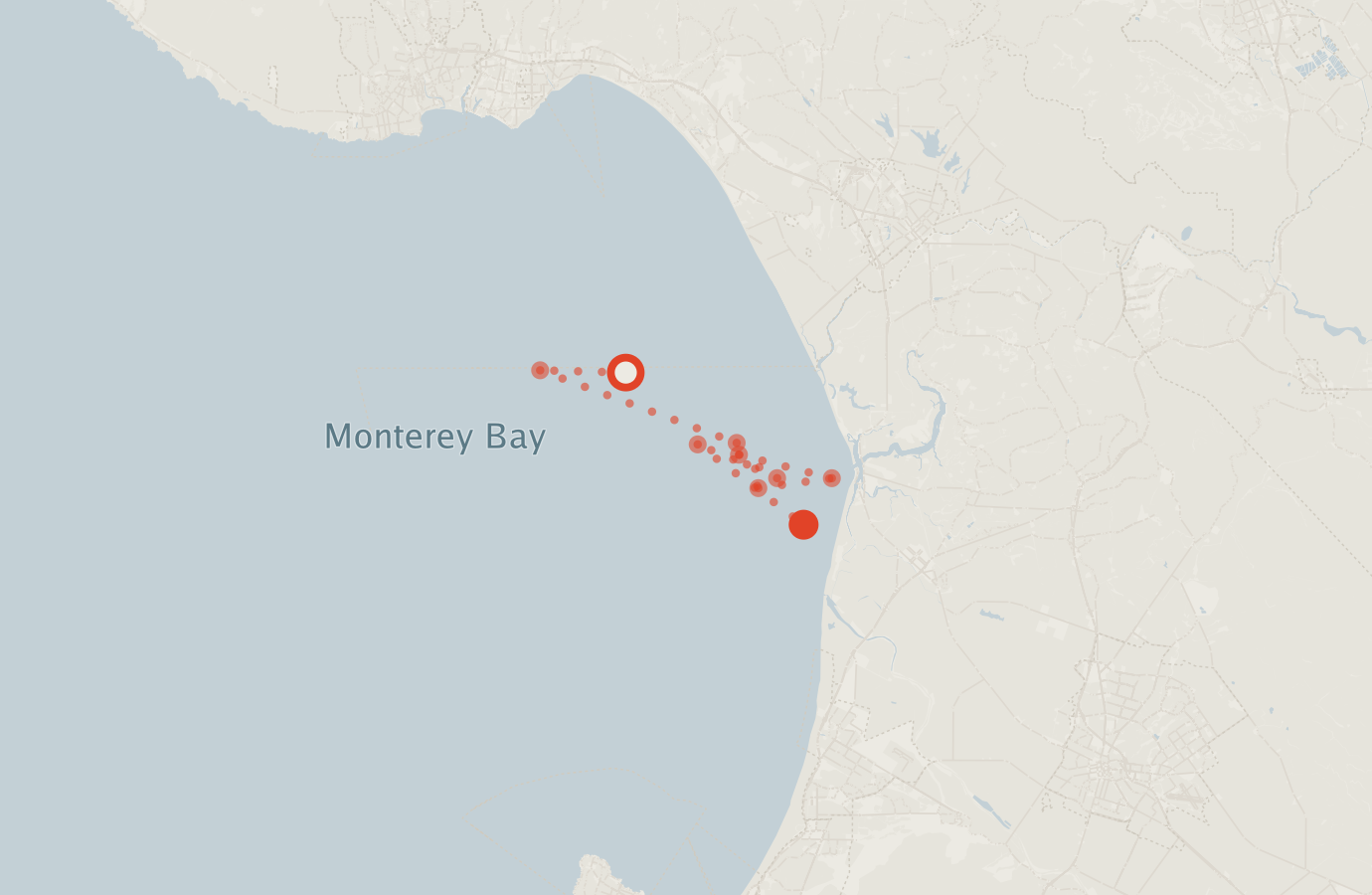 Activity map — real sighting points on an OpenStreetMap basemap