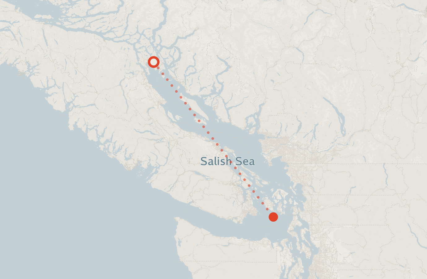 Activity map — real sighting points on an OpenStreetMap basemap