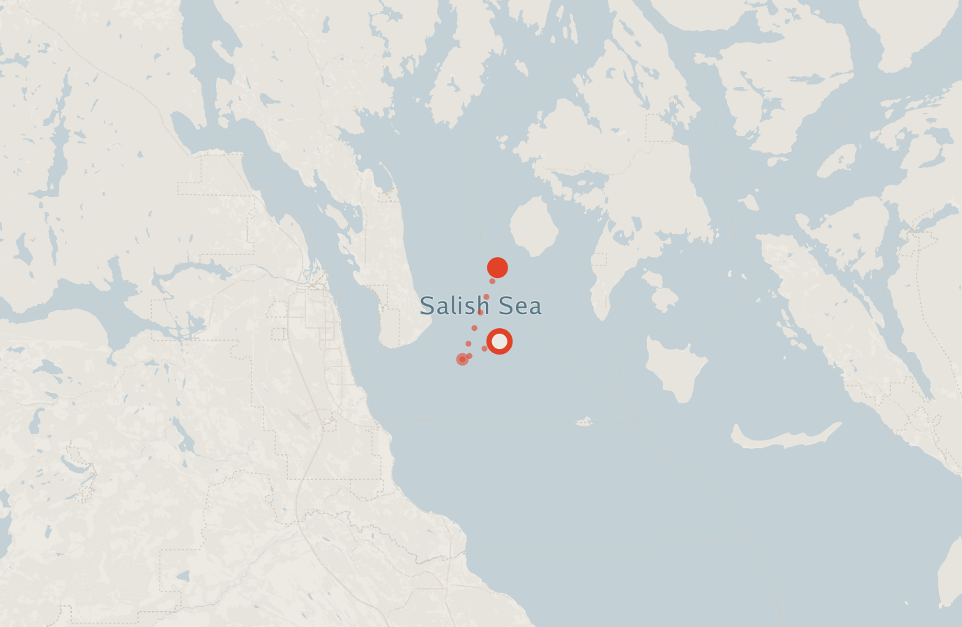 Activity map — real sighting points on an OpenStreetMap basemap