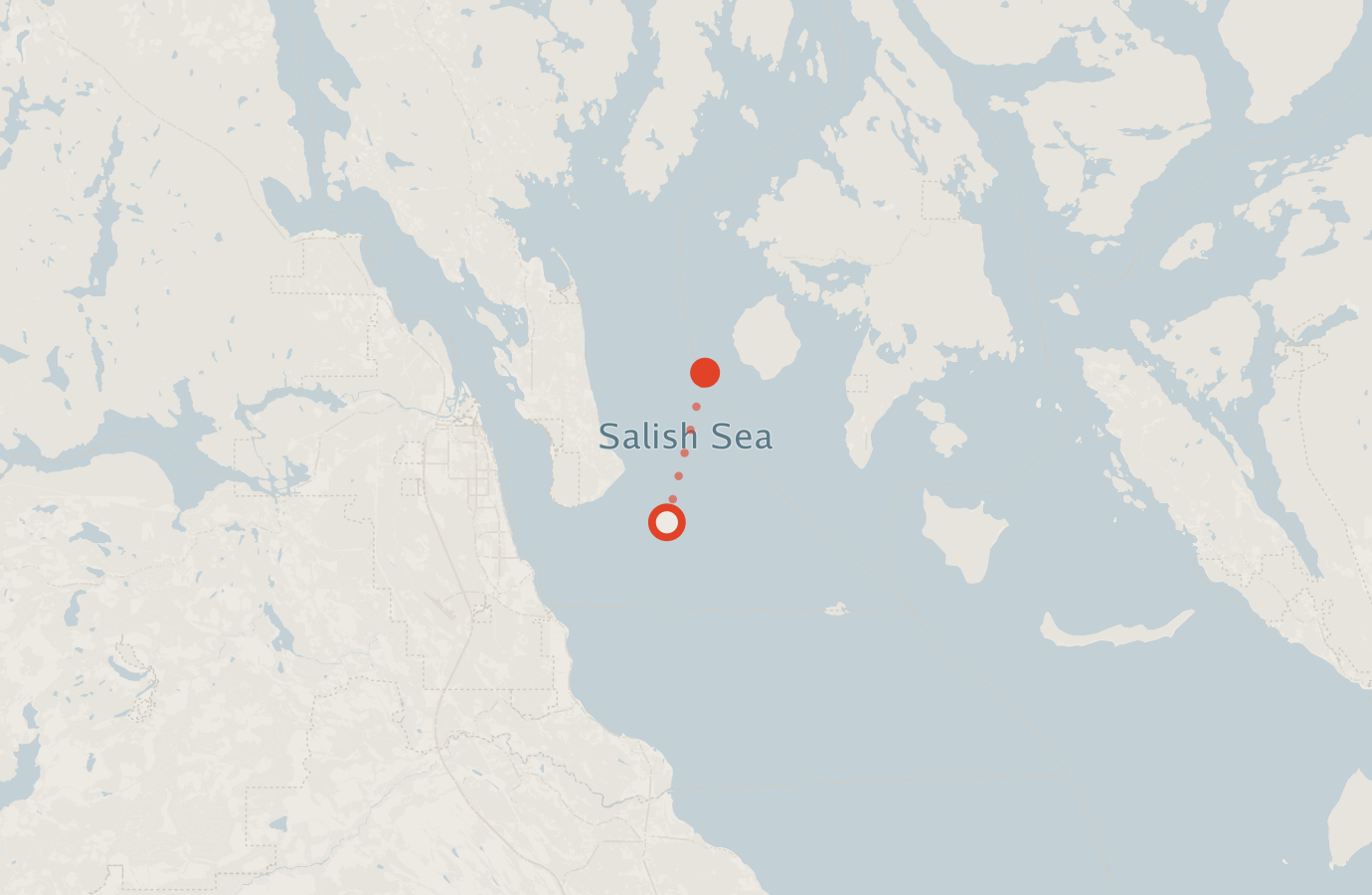 Activity map — real sighting points on an OpenStreetMap basemap