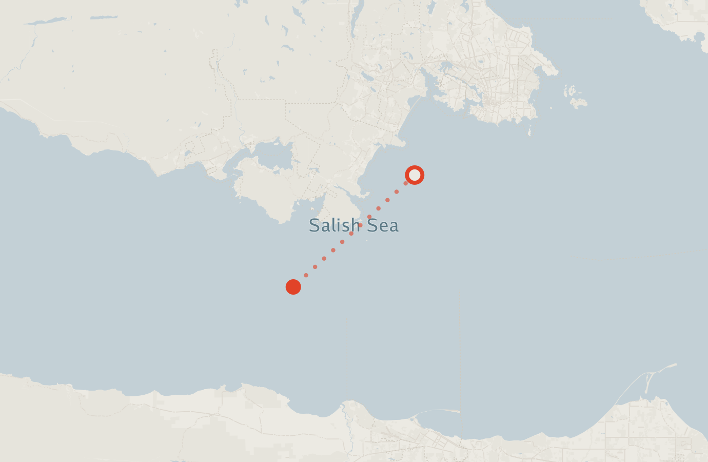 Activity map — real sighting points on an OpenStreetMap basemap