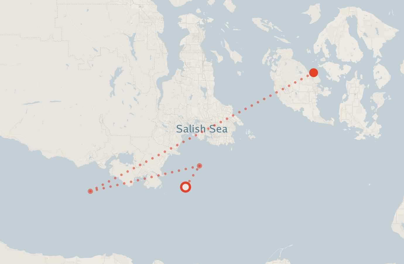 Activity map — real sighting points on an OpenStreetMap basemap