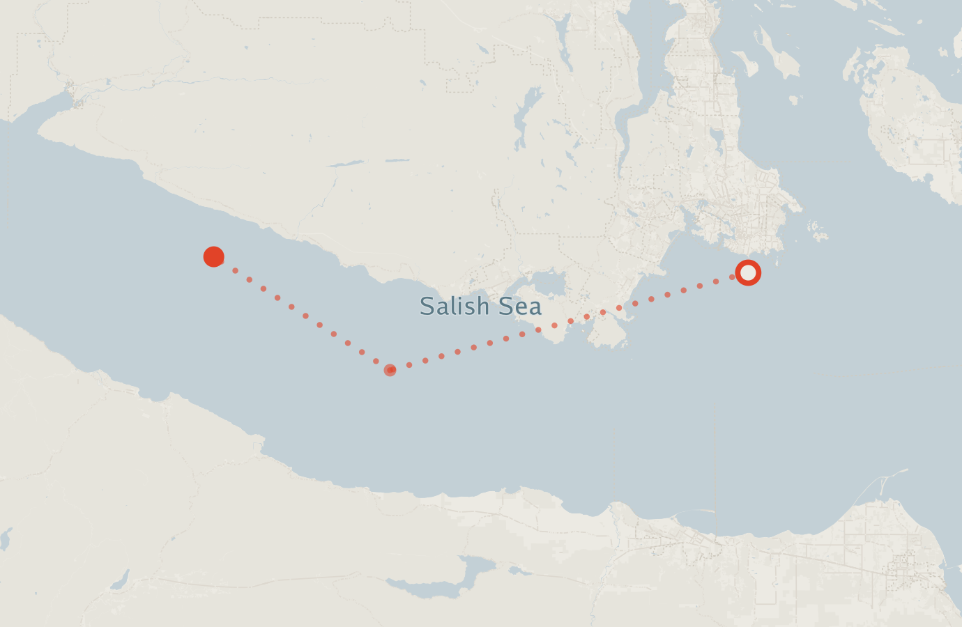 Activity map — real sighting points on an OpenStreetMap basemap