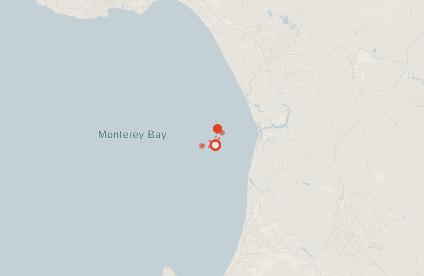 Activity map — real sighting points on an OpenStreetMap basemap