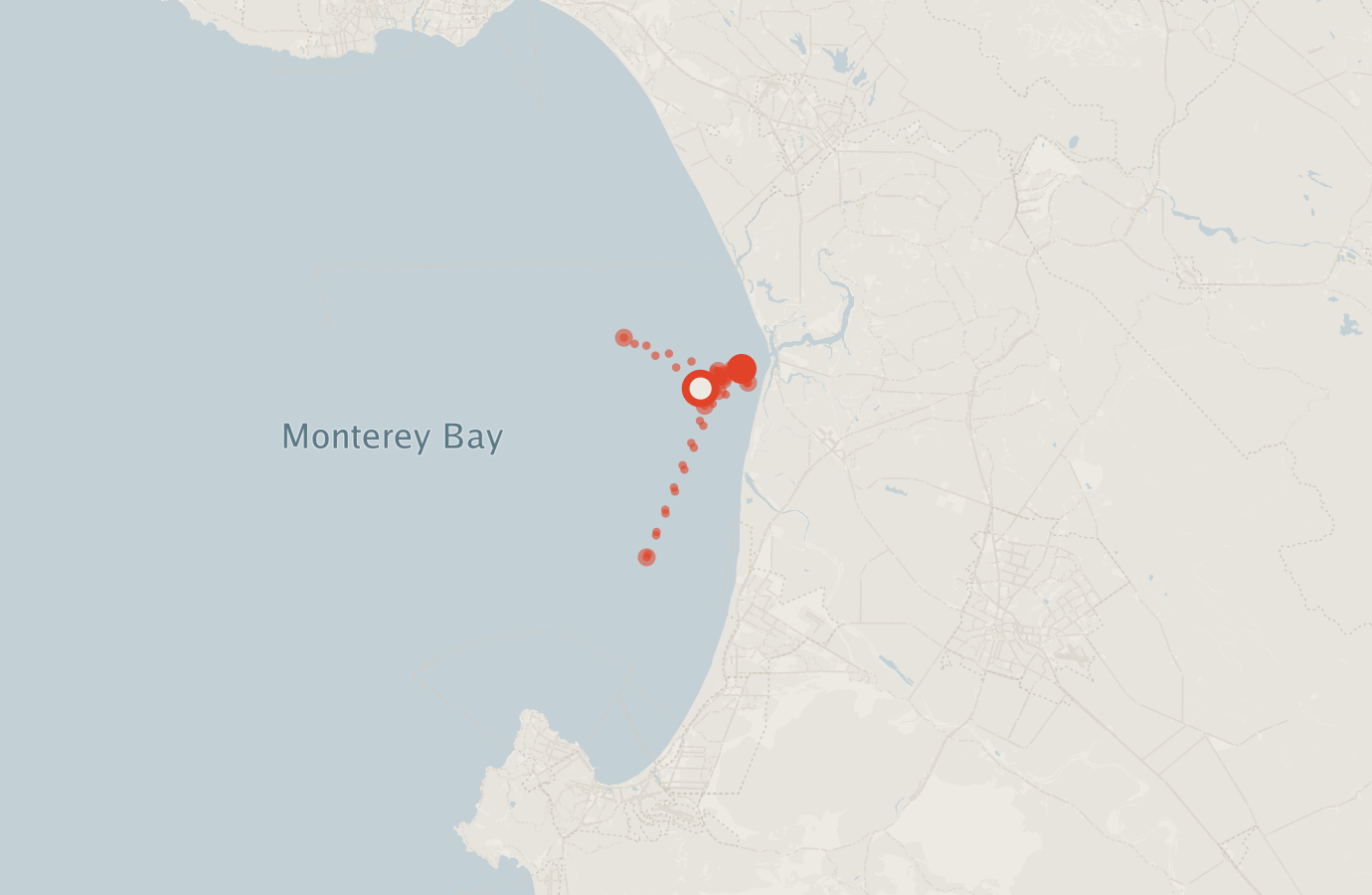 Activity map — real sighting points on an OpenStreetMap basemap