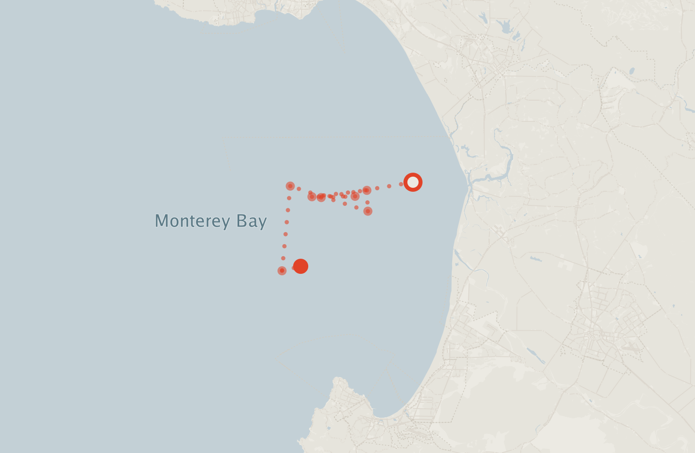 Activity map — real sighting points on an OpenStreetMap basemap