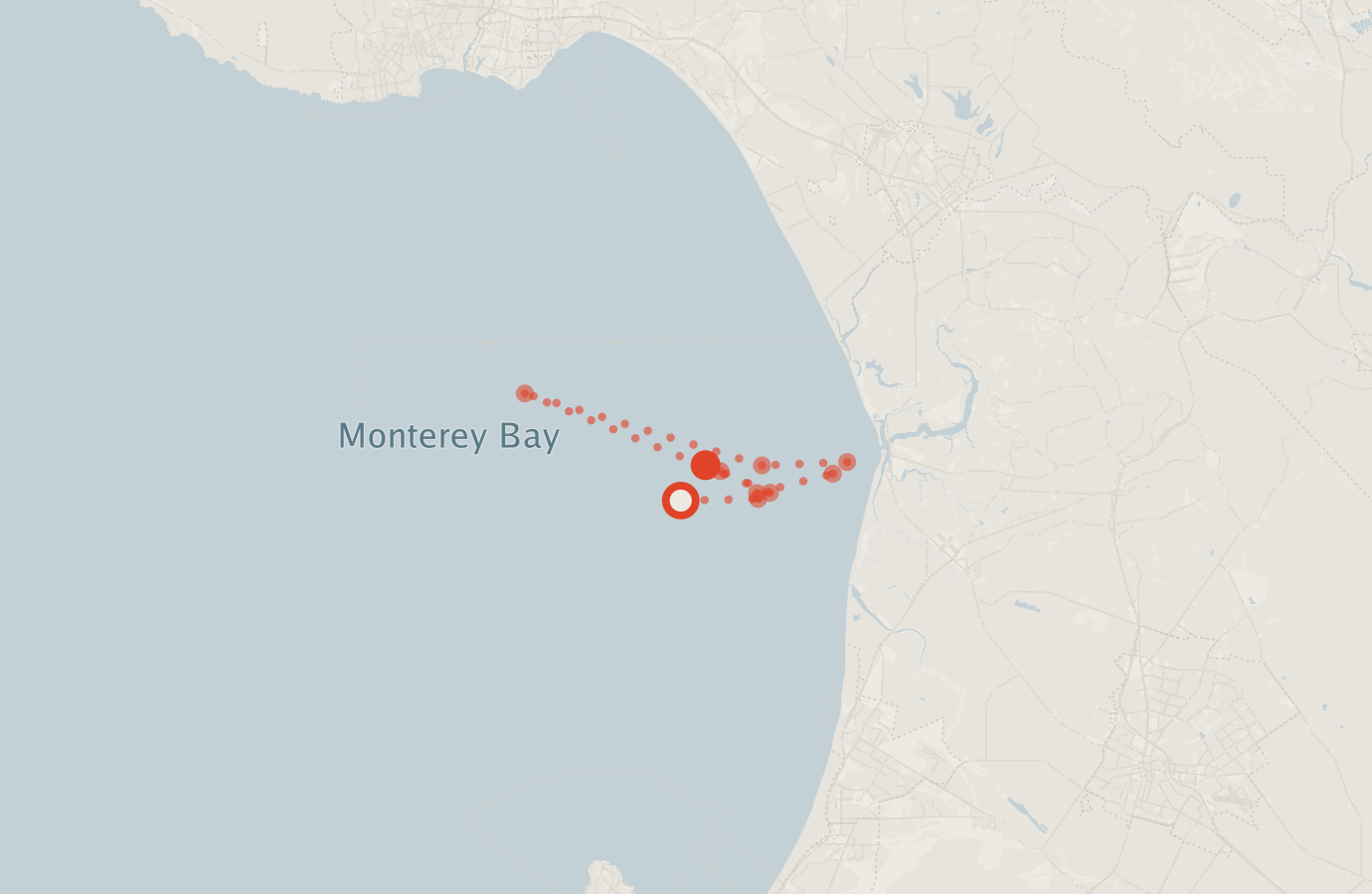 Activity map — real sighting points on an OpenStreetMap basemap