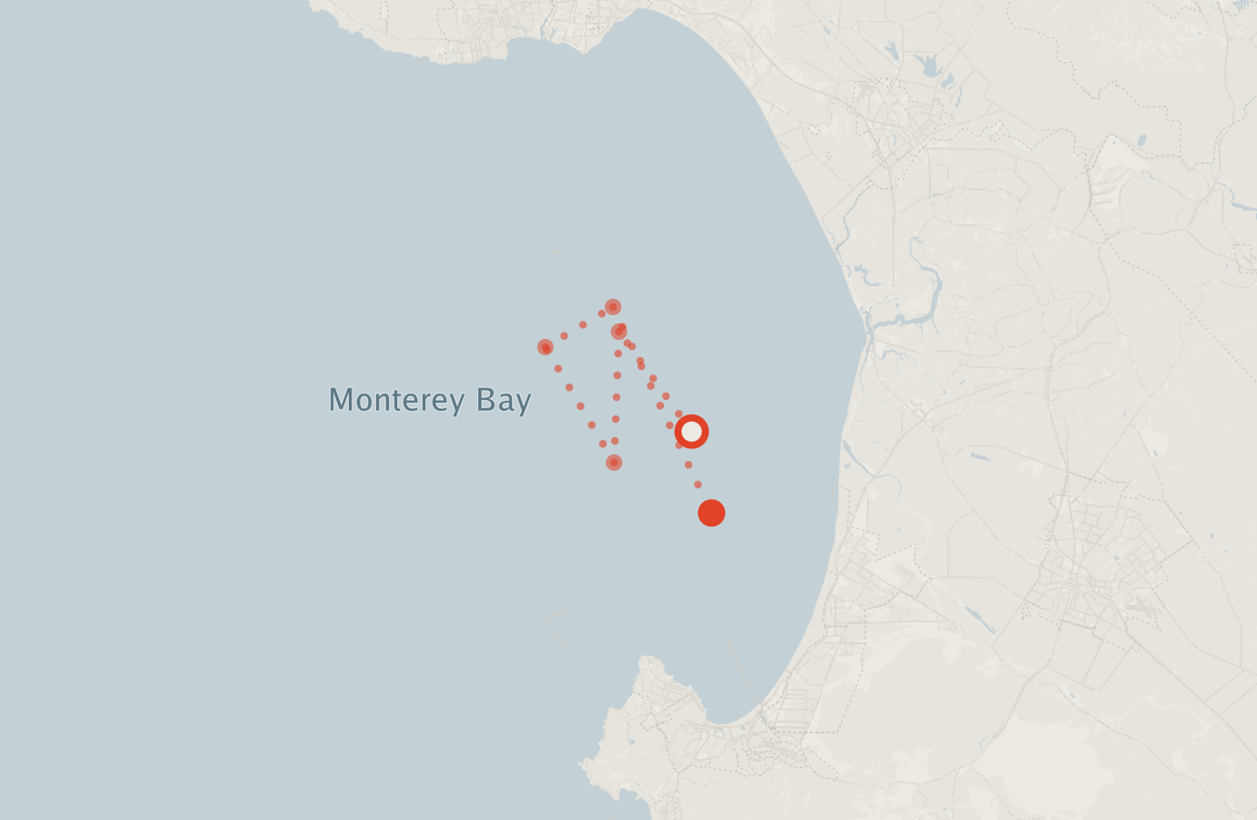 Activity map — real sighting points on an OpenStreetMap basemap