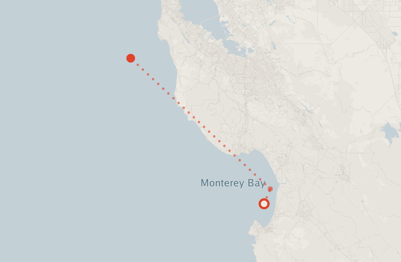 Activity map — real sighting points on an OpenStreetMap basemap