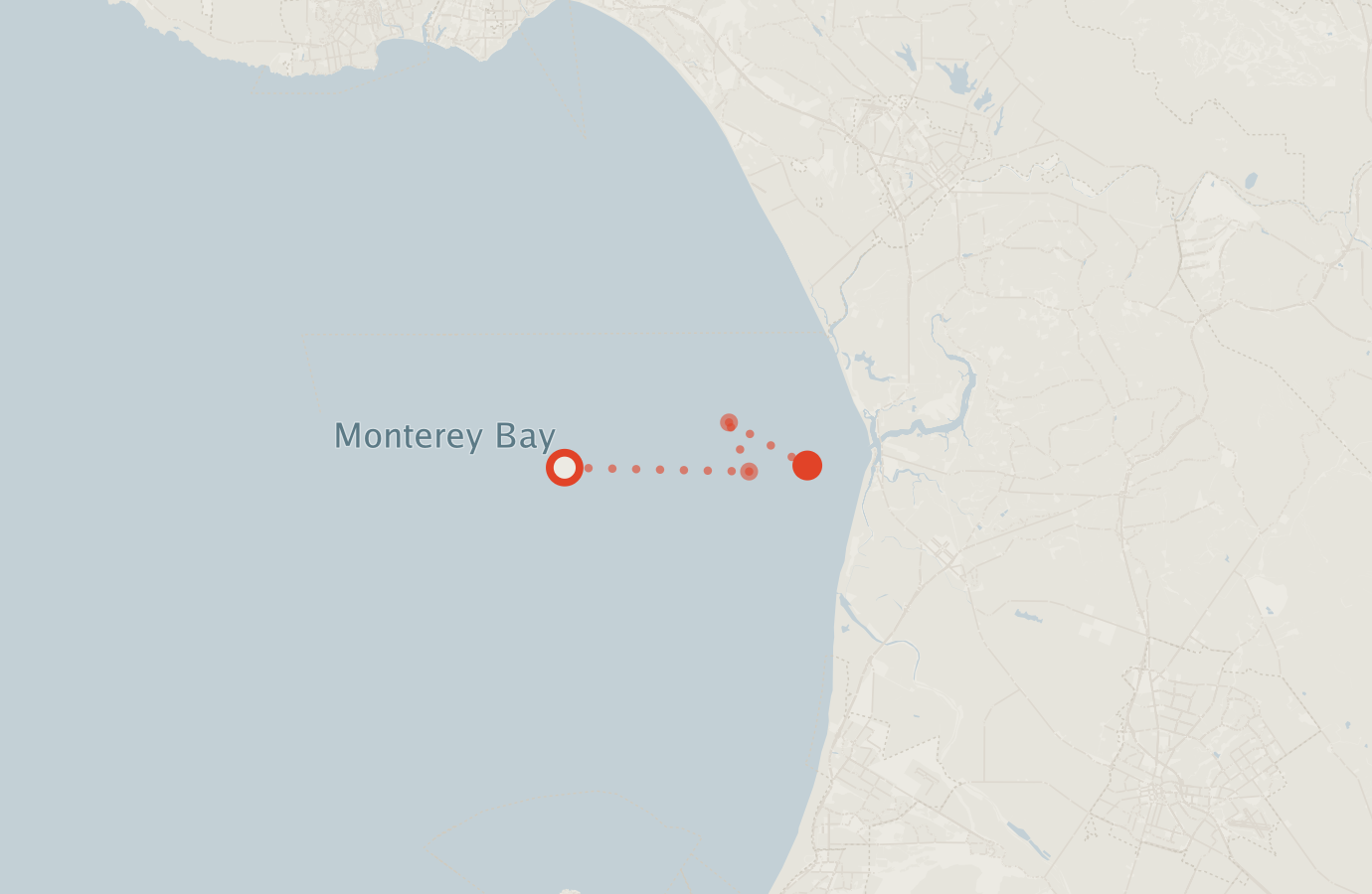 Activity map — real sighting points on an OpenStreetMap basemap