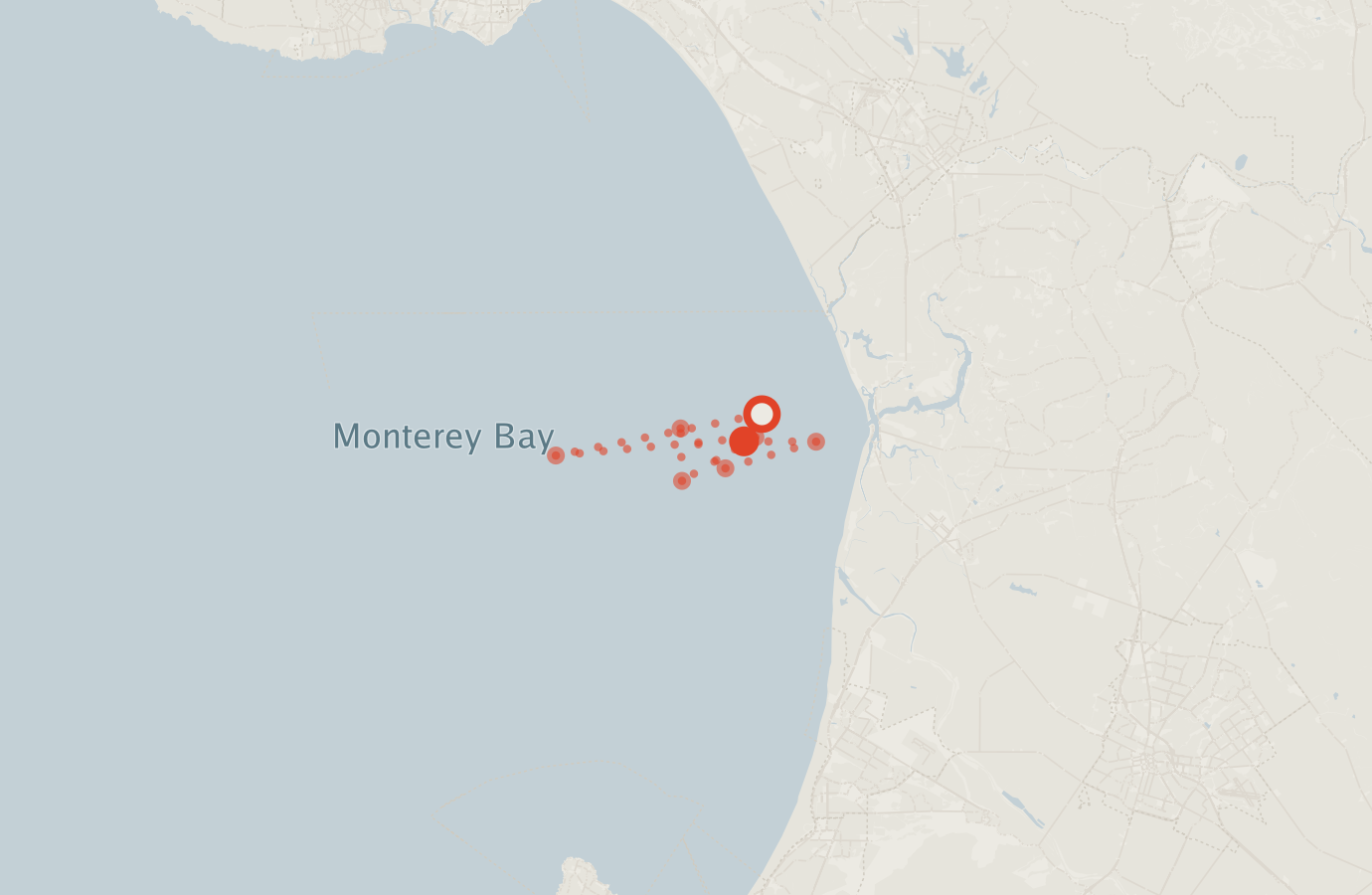 Activity map — real sighting points on an OpenStreetMap basemap