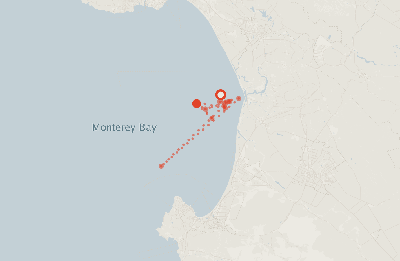 Activity map — real sighting points on an OpenStreetMap basemap