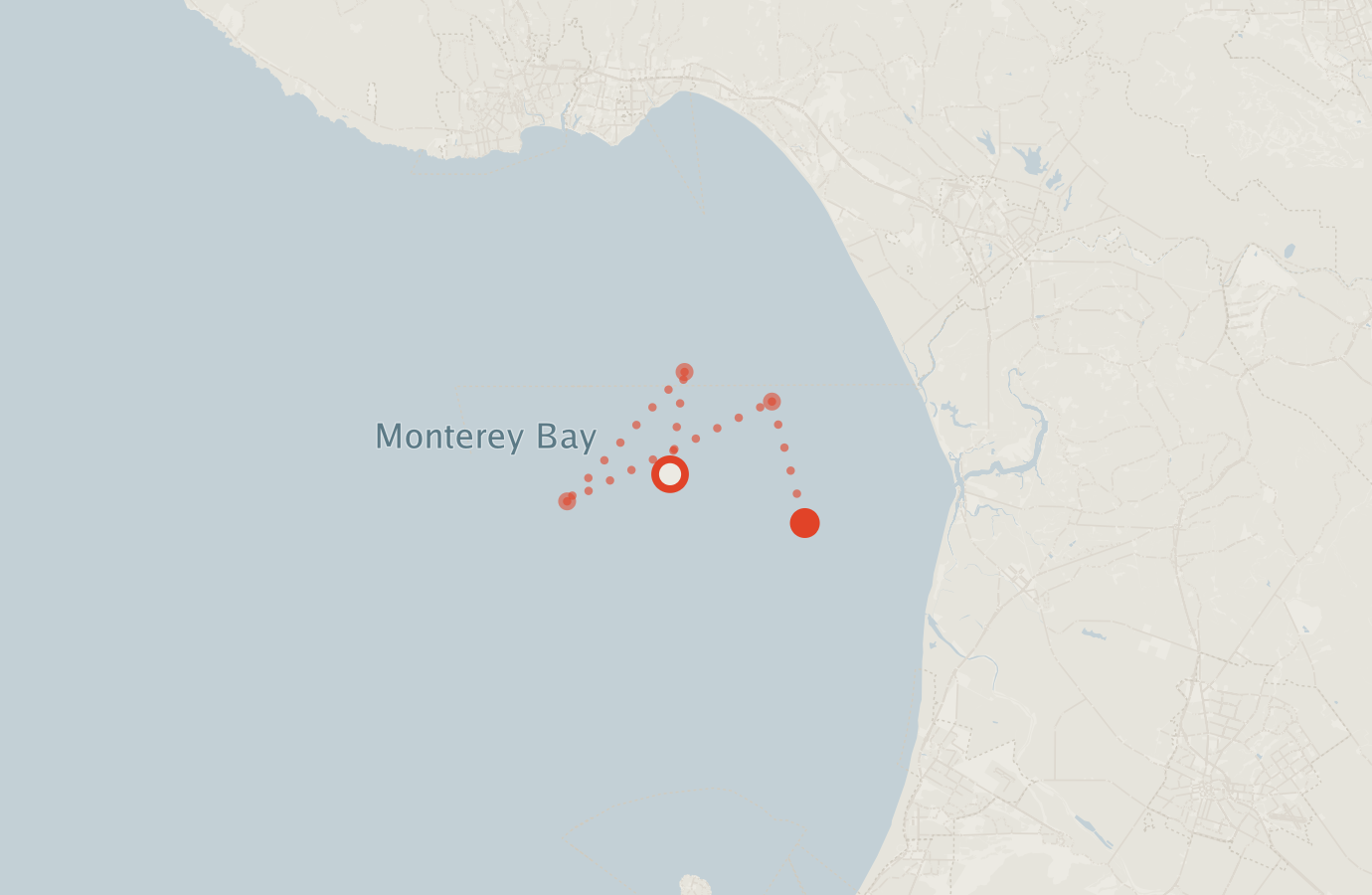 Activity map — real sighting points on an OpenStreetMap basemap