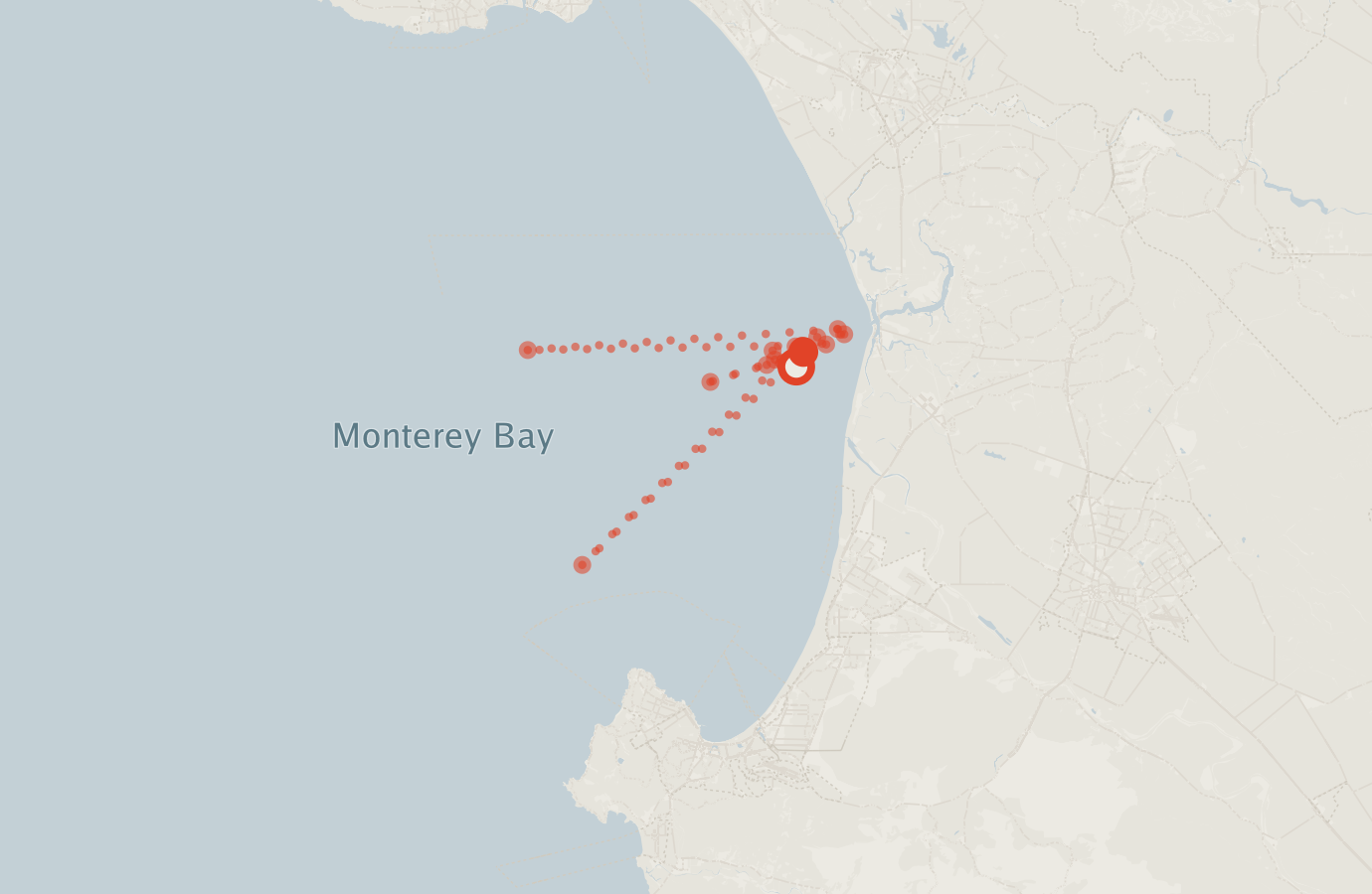 Activity map — real sighting points on an OpenStreetMap basemap