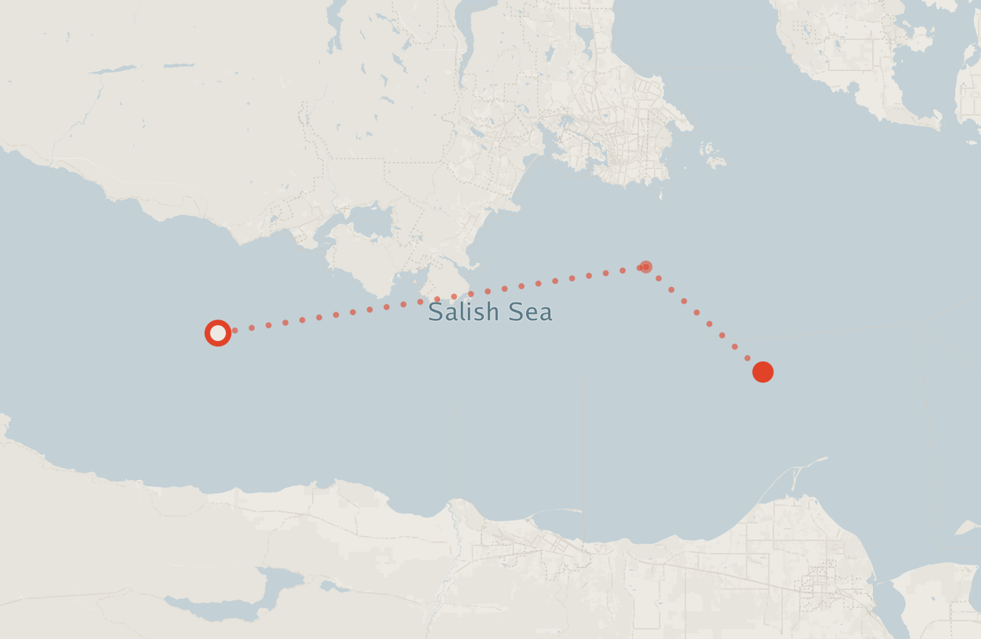 Activity map — real sighting points on an OpenStreetMap basemap