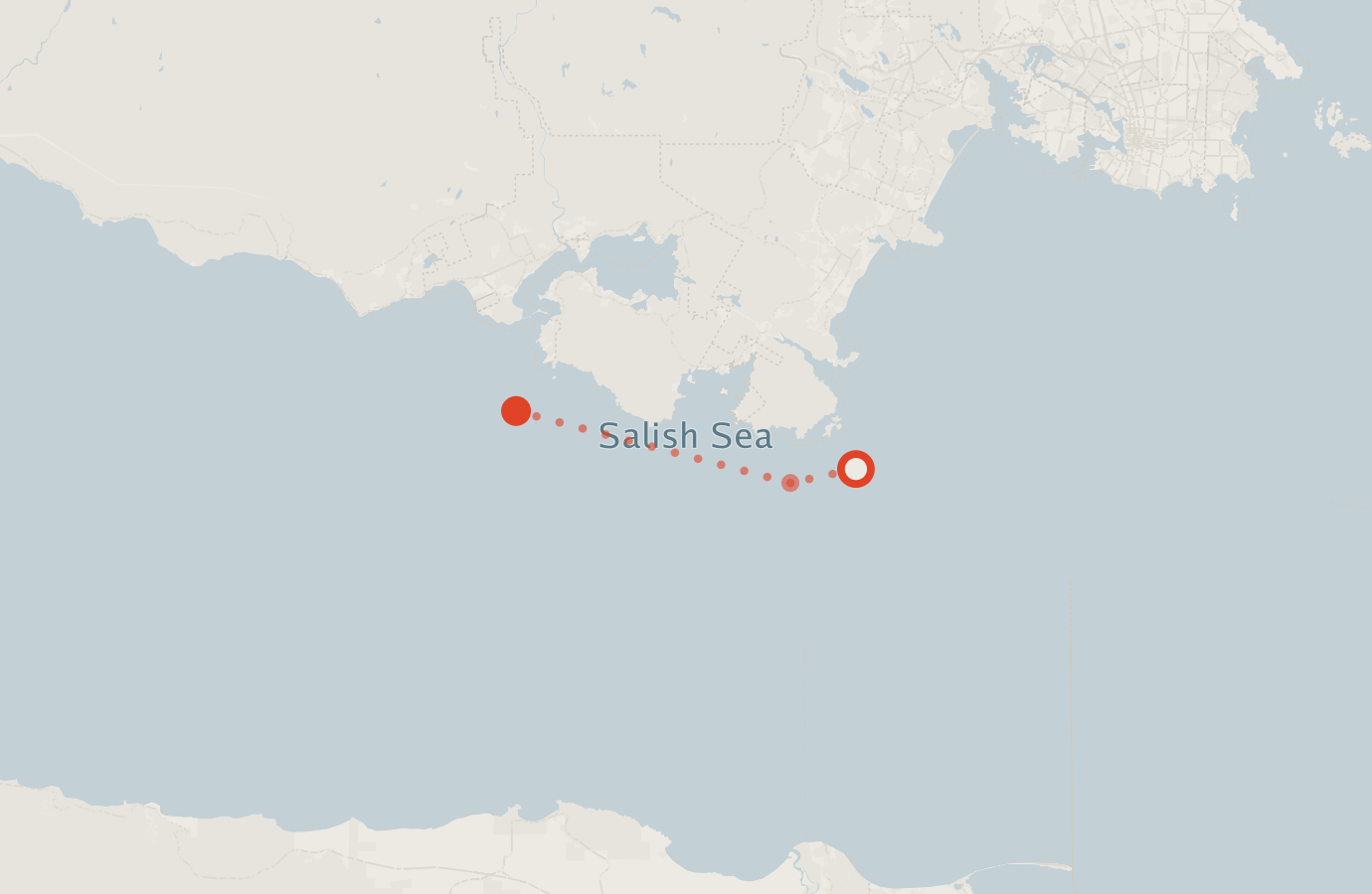 Activity map — real sighting points on an OpenStreetMap basemap