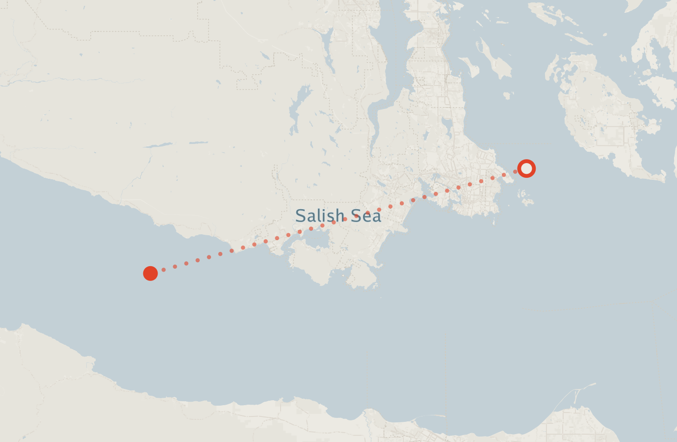 Activity map — real sighting points on an OpenStreetMap basemap