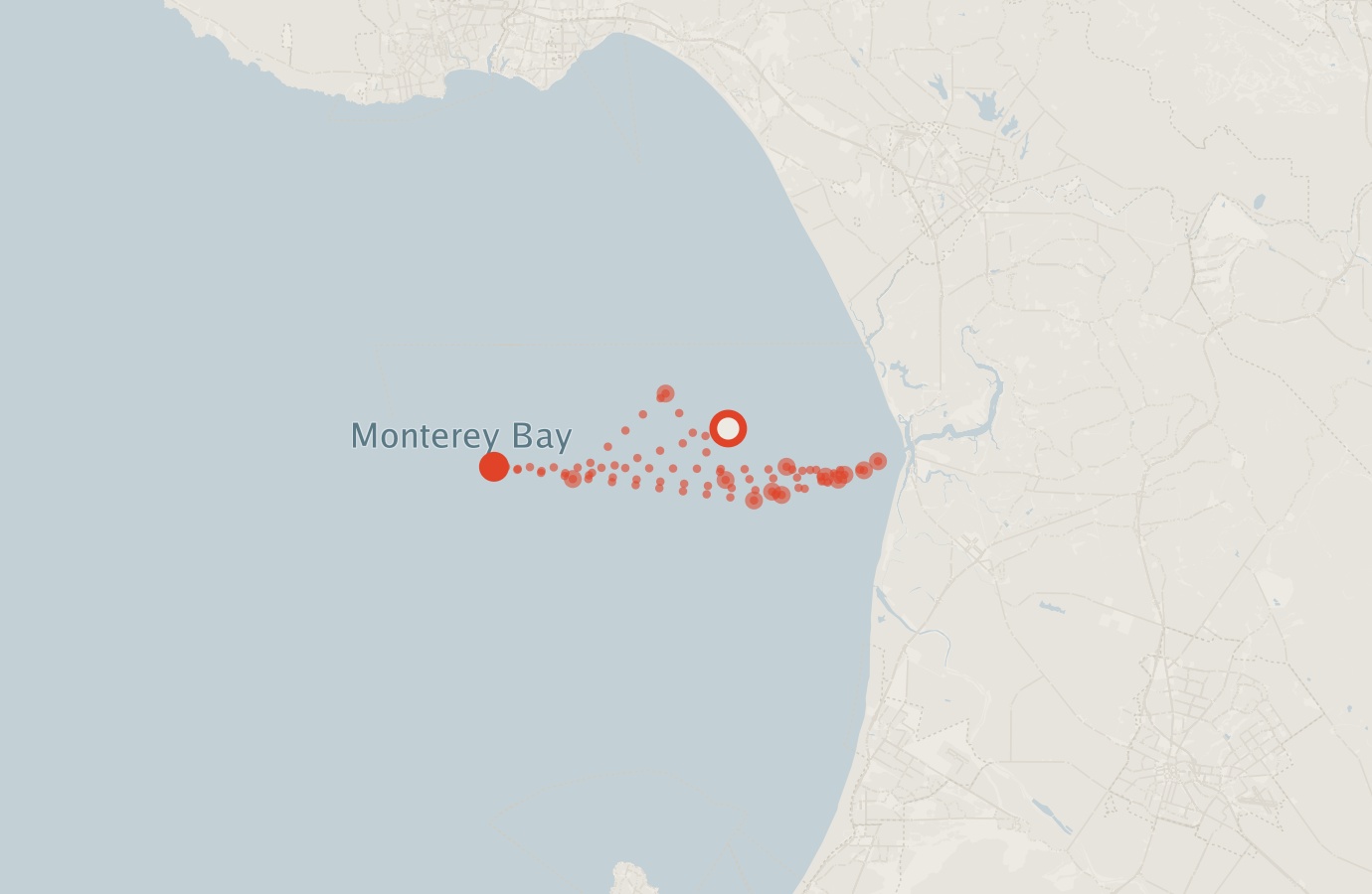Activity map — real sighting points on an OpenStreetMap basemap