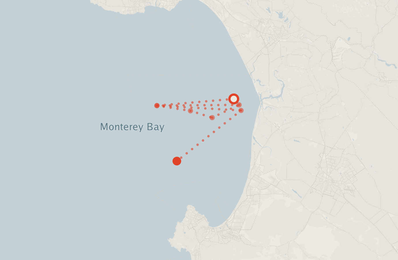 Activity map — real sighting points on an OpenStreetMap basemap