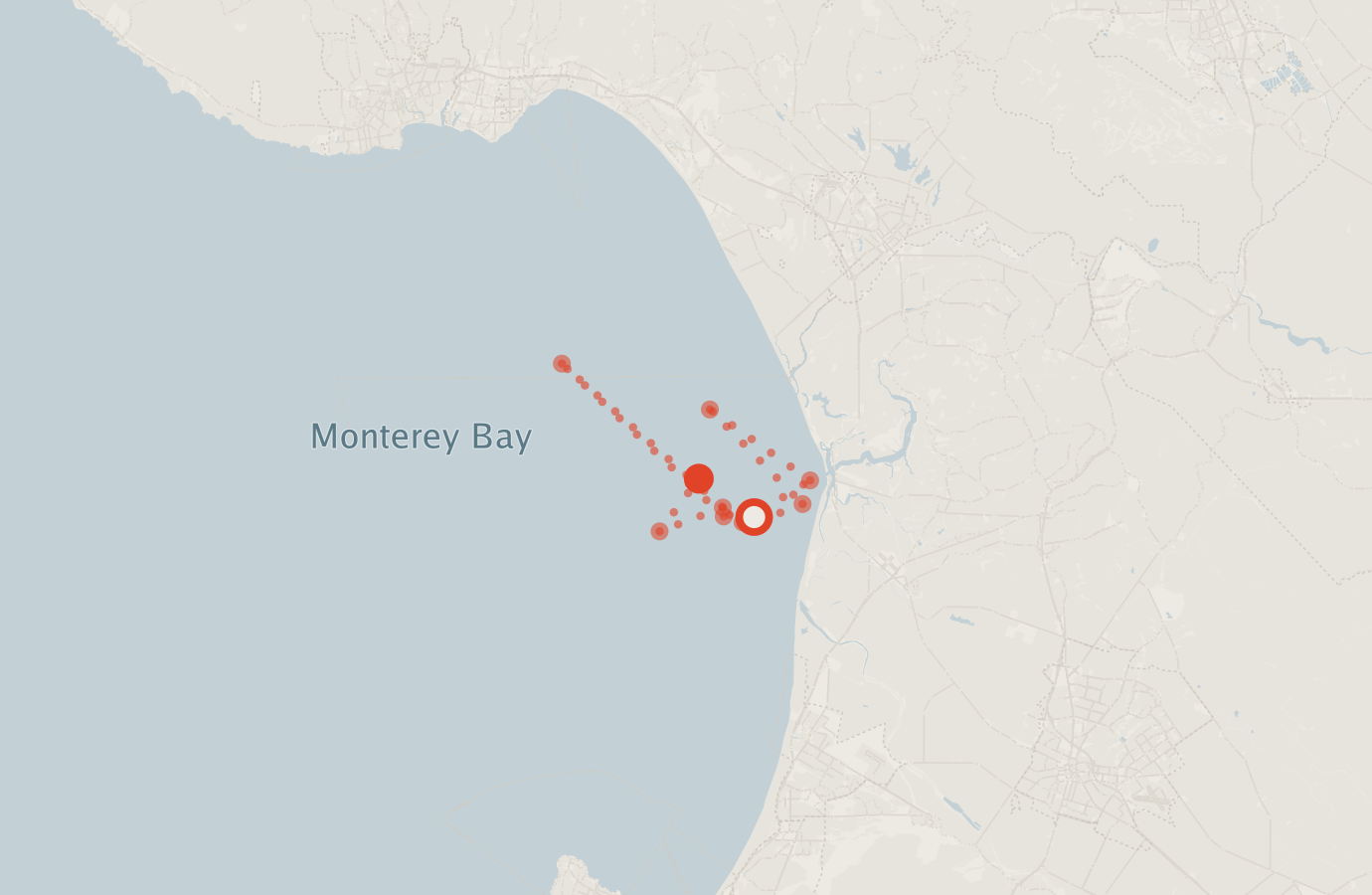 Activity map — real sighting points on an OpenStreetMap basemap