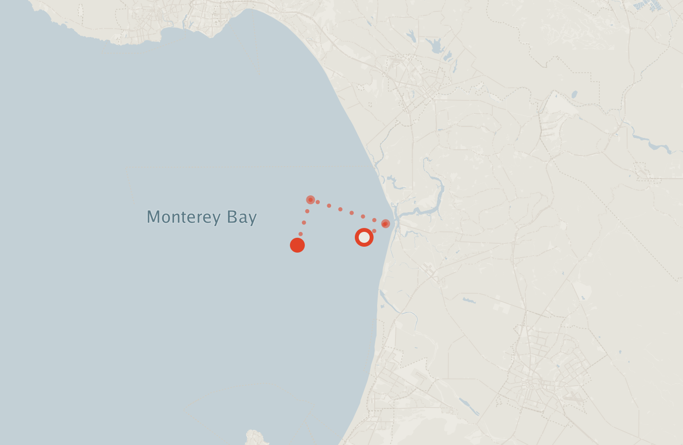 Activity map — real sighting points on an OpenStreetMap basemap
